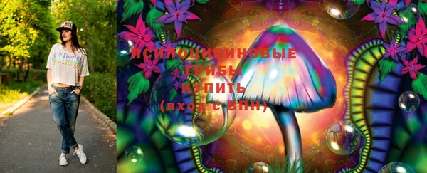 крисы Алексеевка