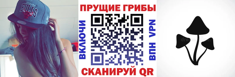 купить  сайты  Чайковский  Галлюциногенные грибы Psilocybine cubensis 
