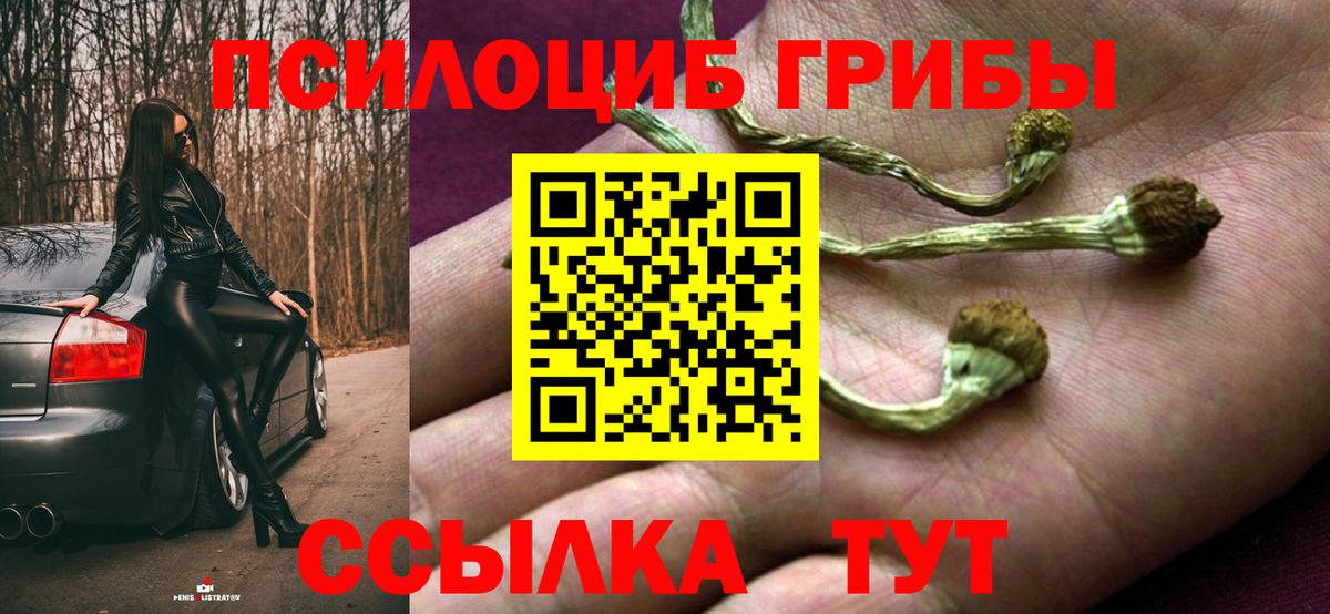 Чайковский  Галлюциногенные грибы ЛСД  Вход с VPN 
