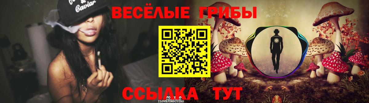Псилоцибиновые грибы MAGIC MUSHROOMS Чайковский