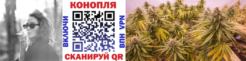 Канабис Amnesia  цены наркотик  Чайковский 